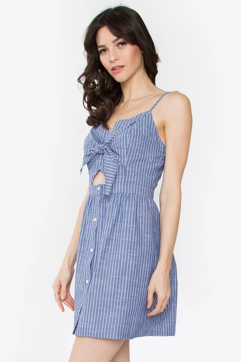 Augusta Striped Mini Dress