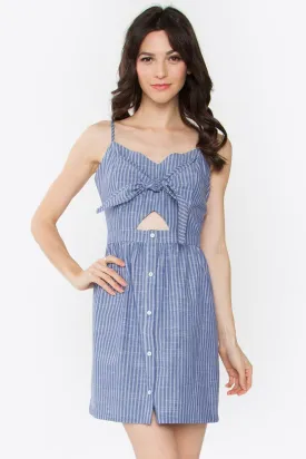 Augusta Striped Mini Dress
