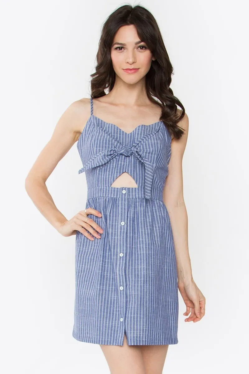 Augusta Striped Mini Dress