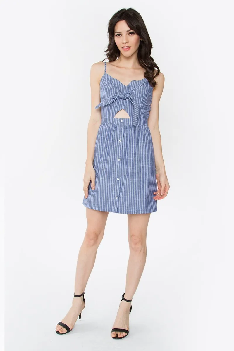 Augusta Striped Mini Dress